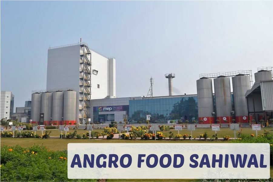 Angro food-1